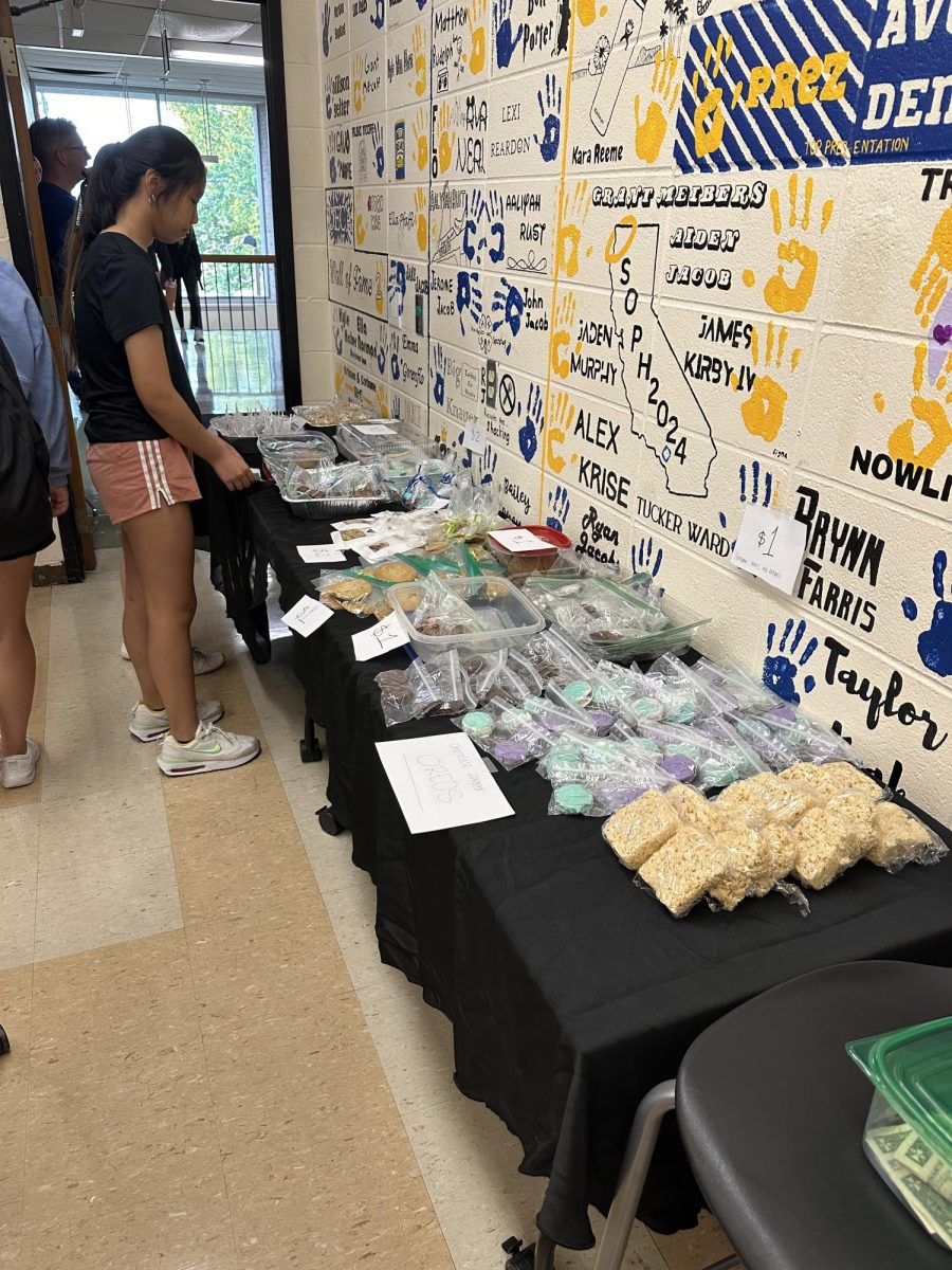 DECA Raises Money for Harrison's Mental Health Awareness Initiative