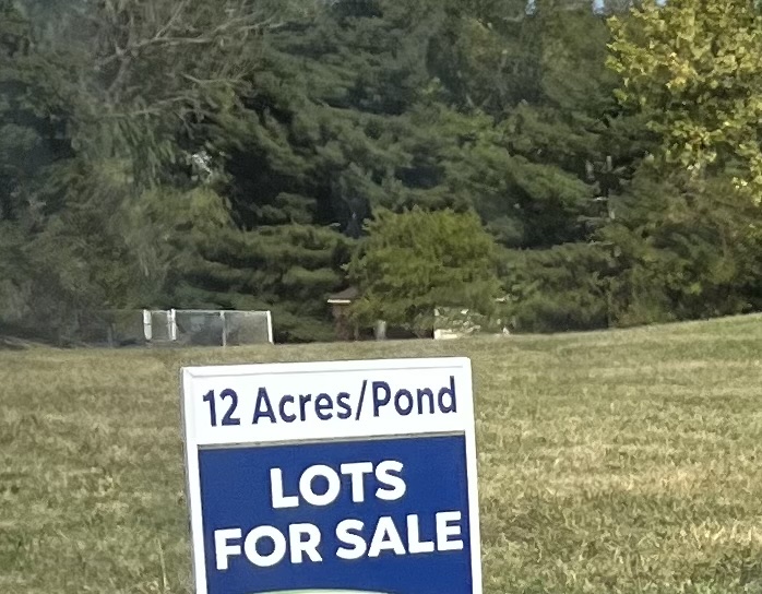 What used to be a forest and a field will soon be more houses. 