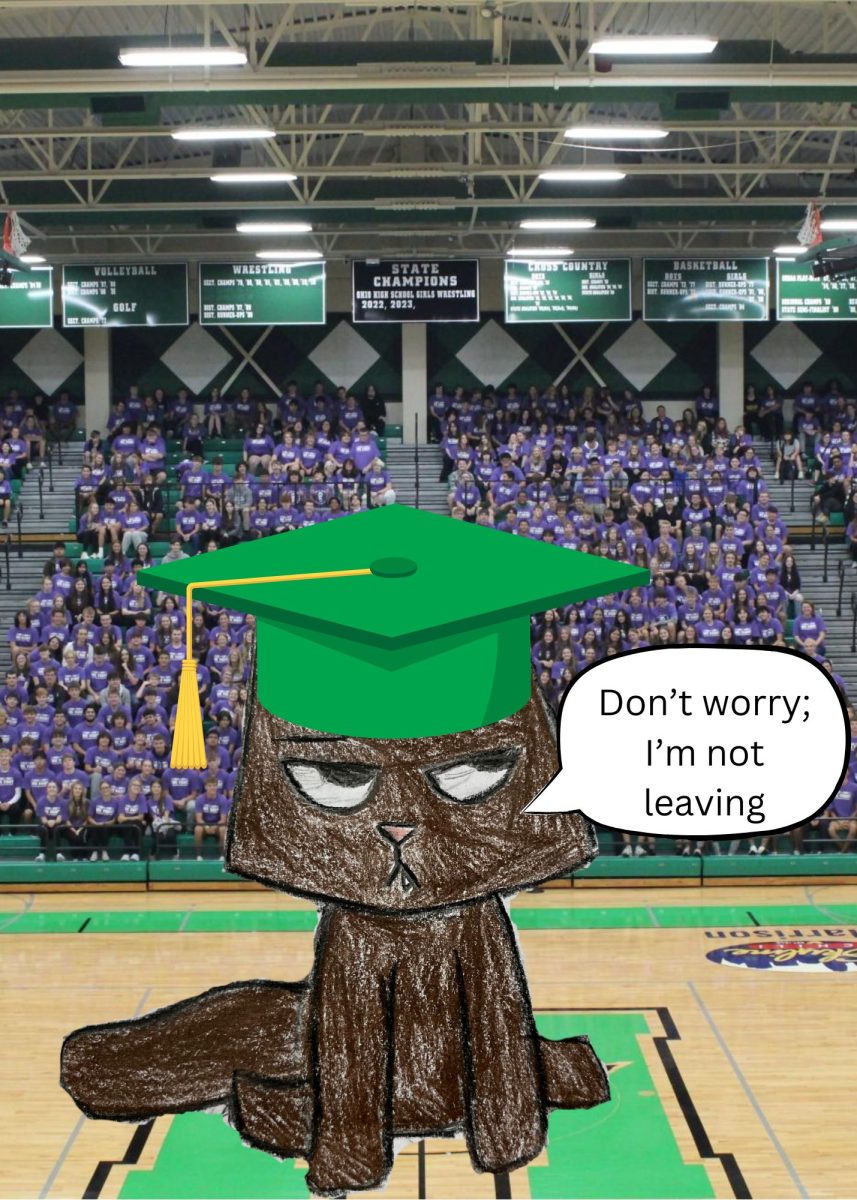 Wendy Wildcat may have graduated, but she will always be in our hearts. And she will also be in our boiler room, because she refuses to leave the high school. 