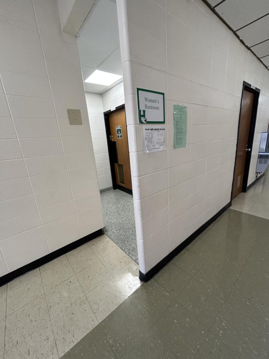 The girls bathroom upstairs. 