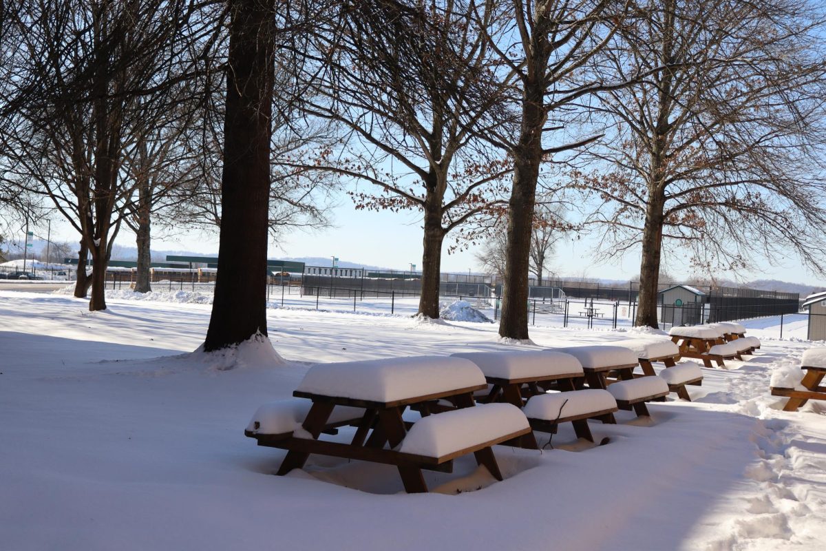 Heavy layers of snow bedded onto the picnic tables outside.