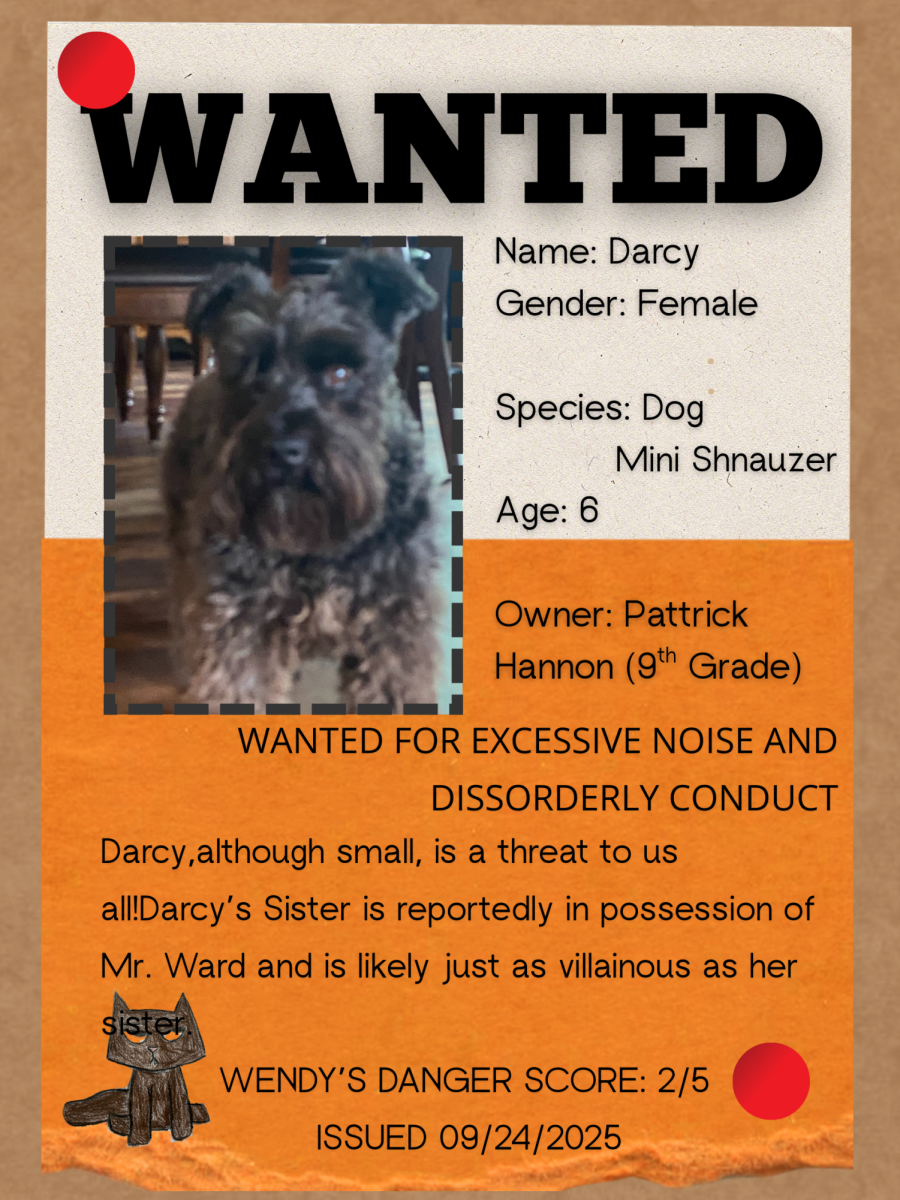 1 - Darcy