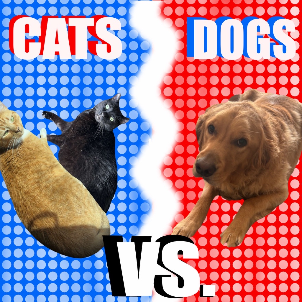 Cats vs. Dogs