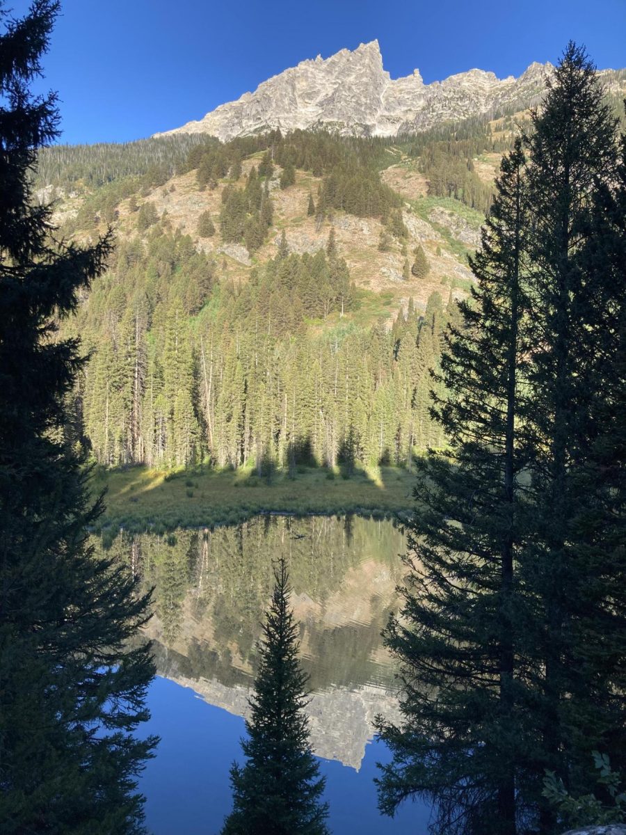 A scenic picture of Yellowstone