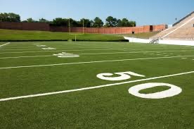 Turf VS. Grass