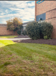 The grass is always cut, which makes our school look neat.