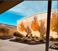 A small space just for our plants here at Harrison High School, with their beautiful Autum colors.