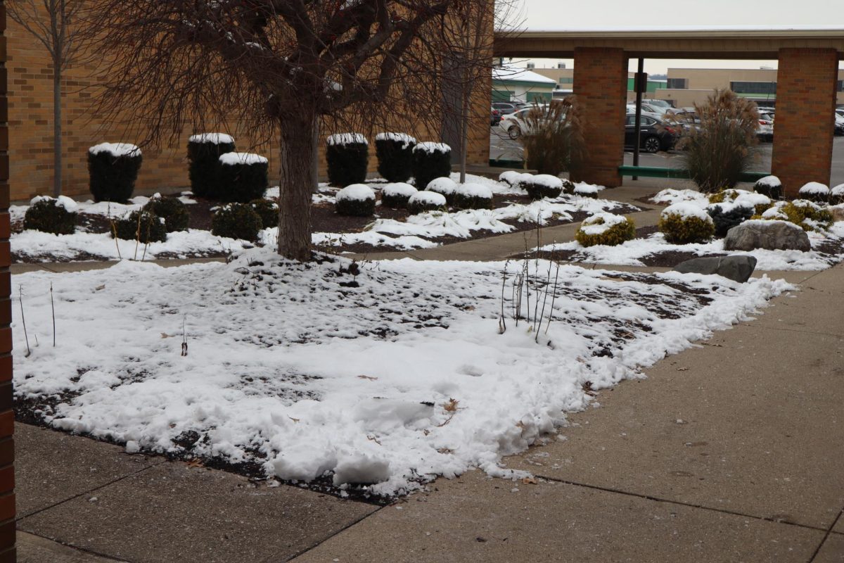 First snow of the year.