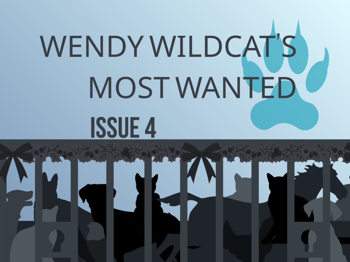 Wendy Wildcat's Most Wanted: Issue 4