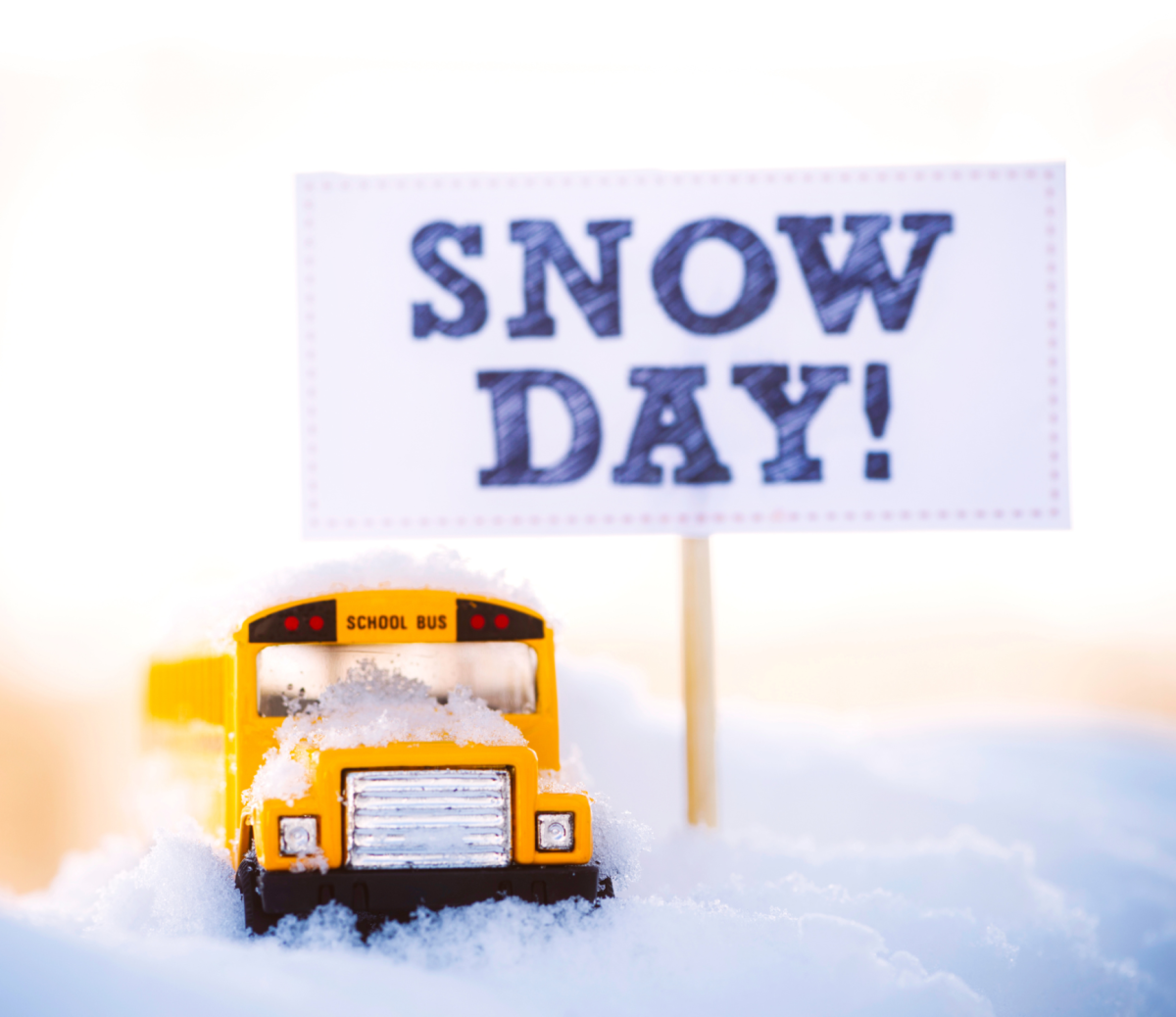 What do we want? SNOW DAY! When do we want it? TUESDAY!! 

Image created on Canva