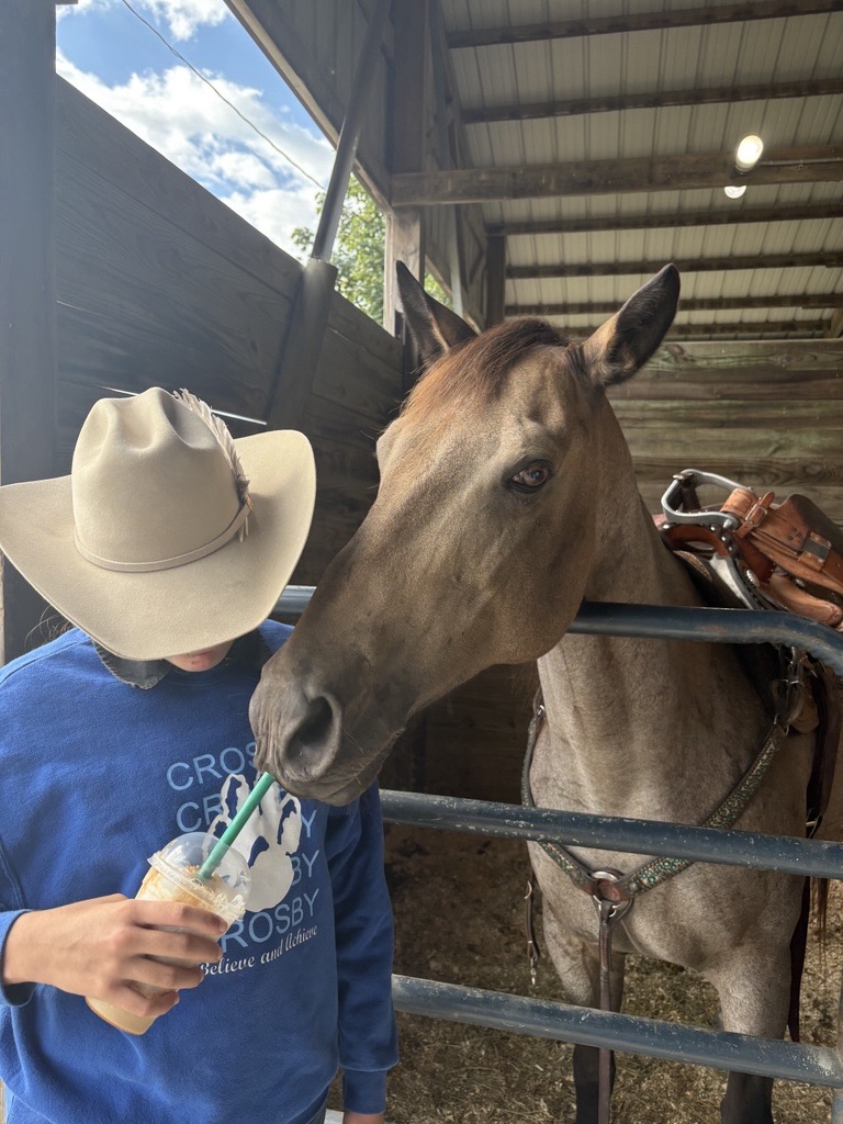 Lenora Wallace's horse Athena.